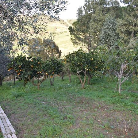 La casetta nel bosco Appartamento Calatafimi Esterno foto