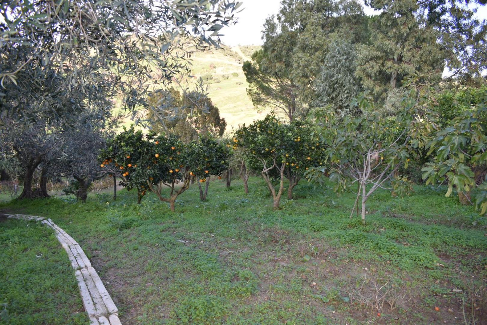 La casetta nel bosco Appartamento Calatafimi Esterno foto