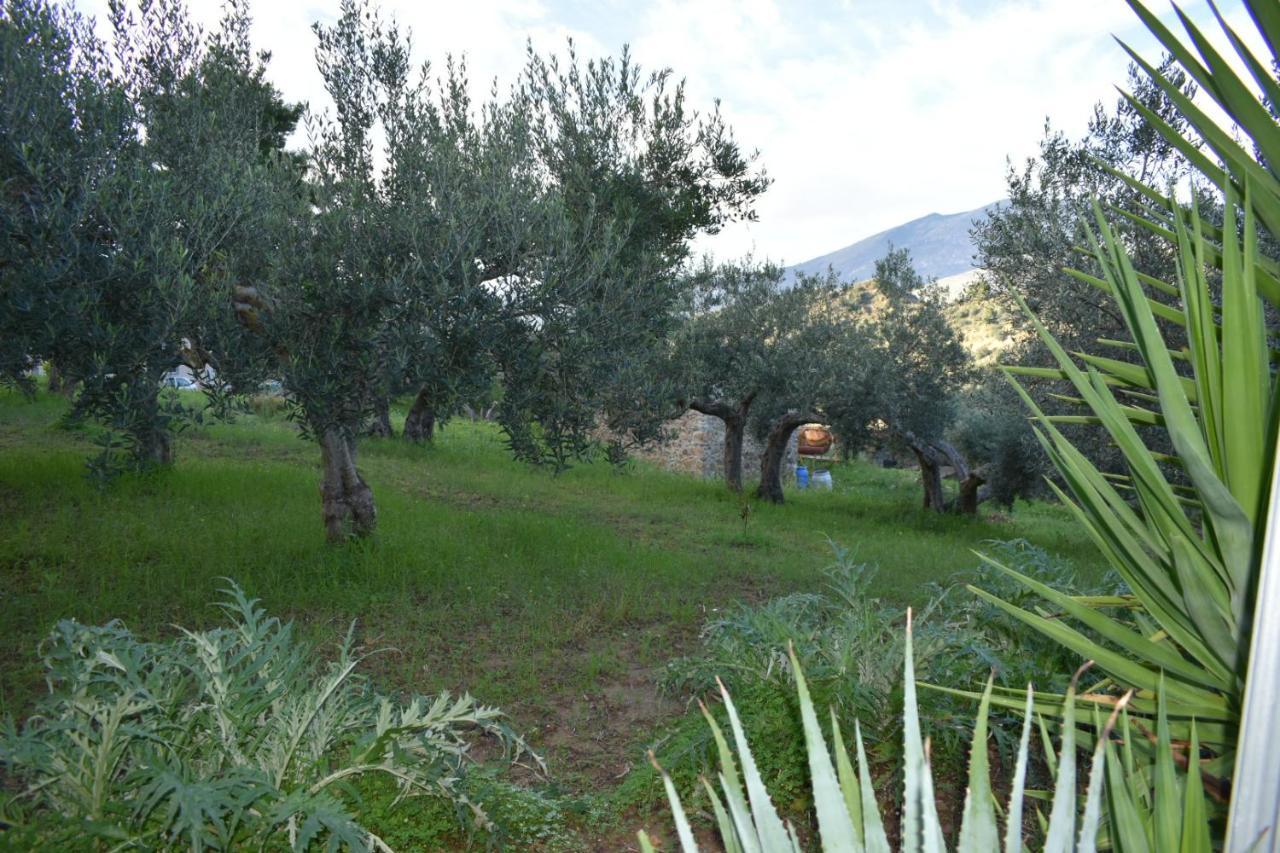 La casetta nel bosco Appartamento Calatafimi Esterno foto