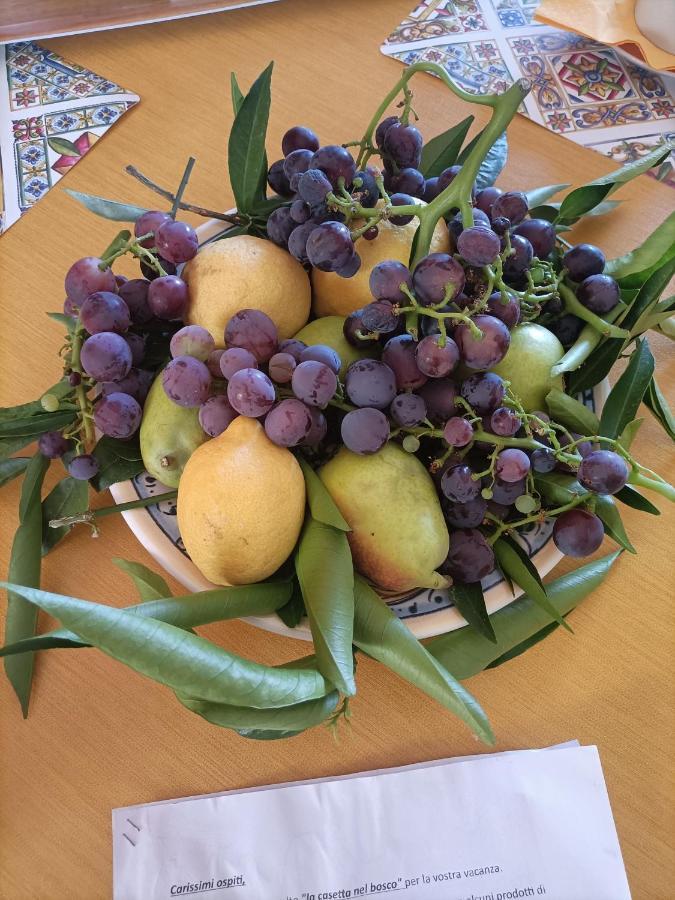 La casetta nel bosco Appartamento Calatafimi Esterno foto